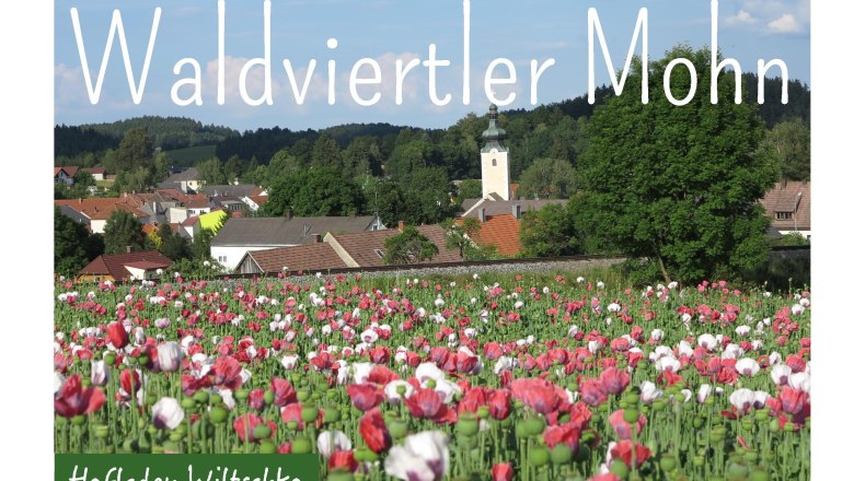 Mohn, &copy; Hofladen Wiltschko