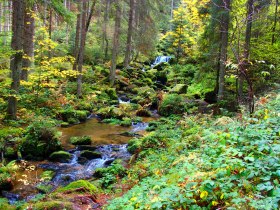 Lohnbachfall, &copy; Waldviertel Tourismus
