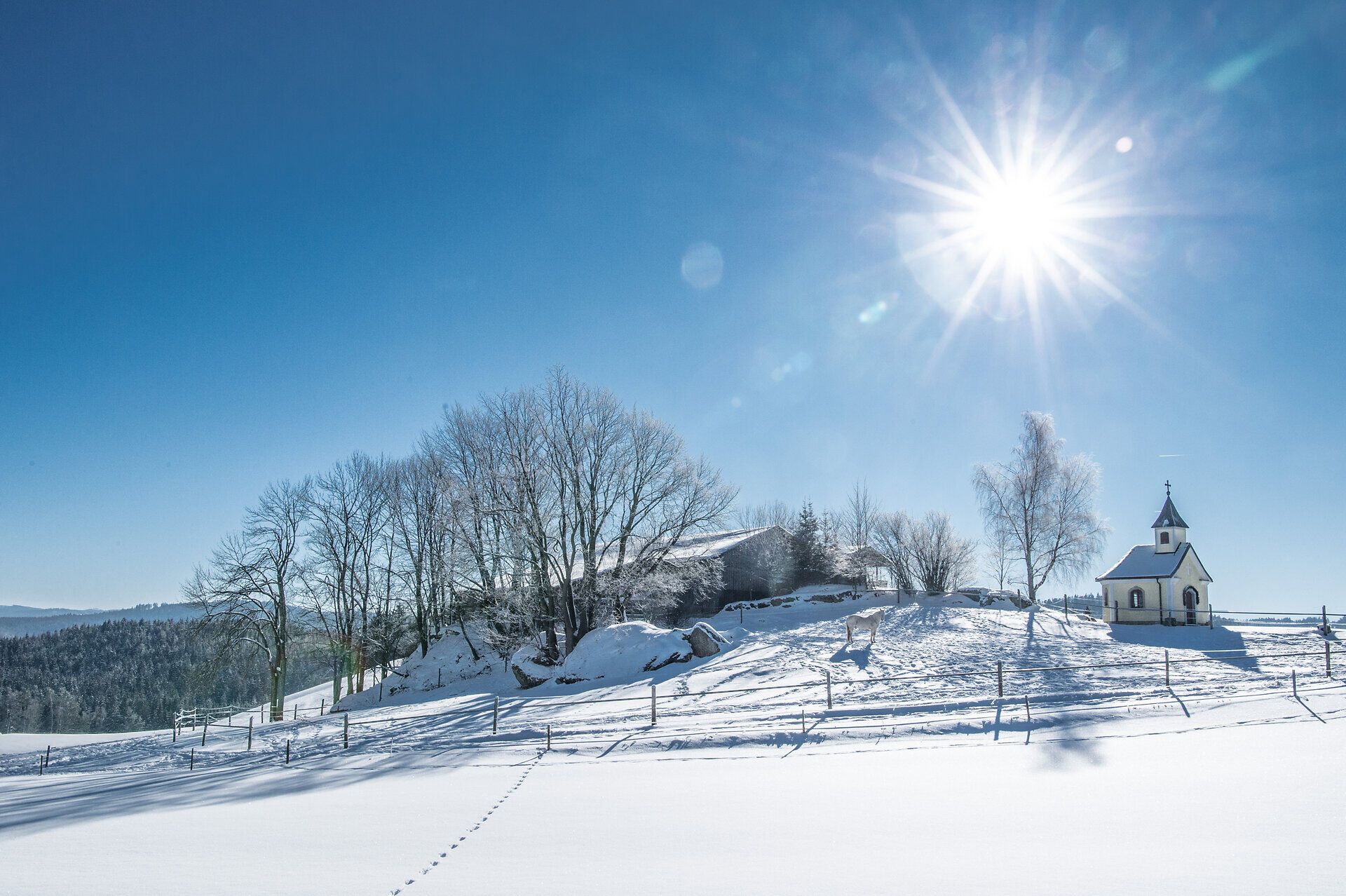 Winterlandschaft bei Moorbad Harbach