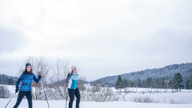 Die glitzernde Schneedecke l&auml;dt zu einem unvergesslichen Langlauferlebnis ein. Zwei Frauen gleiten elegant &uuml;ber die pr&auml;parierten Loipen, umgeben von der ruhigen Winterlandschaft des Waldviertels. Die frische, kalte Luft und die schneebedeckten B&auml;ume schaffen eine perfekte Kulisse f&uuml;r sportliche Abenteuer.