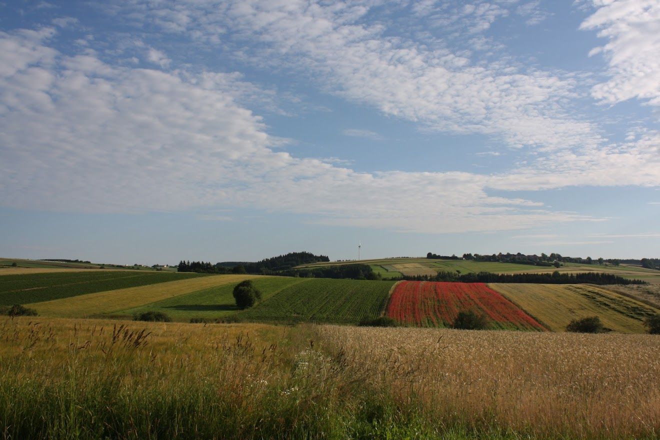 Blick Richtung Pleßbers-Ottenschlag über Felder und Wiesen