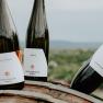 Weingut Fichtenbauer-Mold, © Weingut Fichtenbauer-Mold