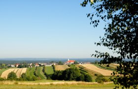 Landschaft mit Feldern und einem Dorf im Hintergrund, blauer Himmel, Baum im Vordergrund.
