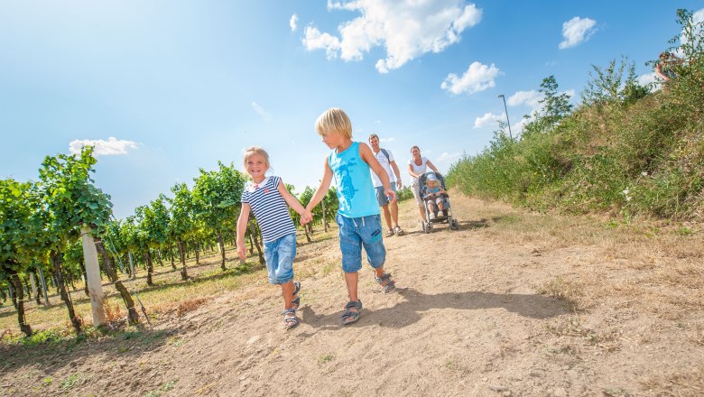 Wandern im Kamptal, © Waldviertel Tourismus, Studio Kerschbaum