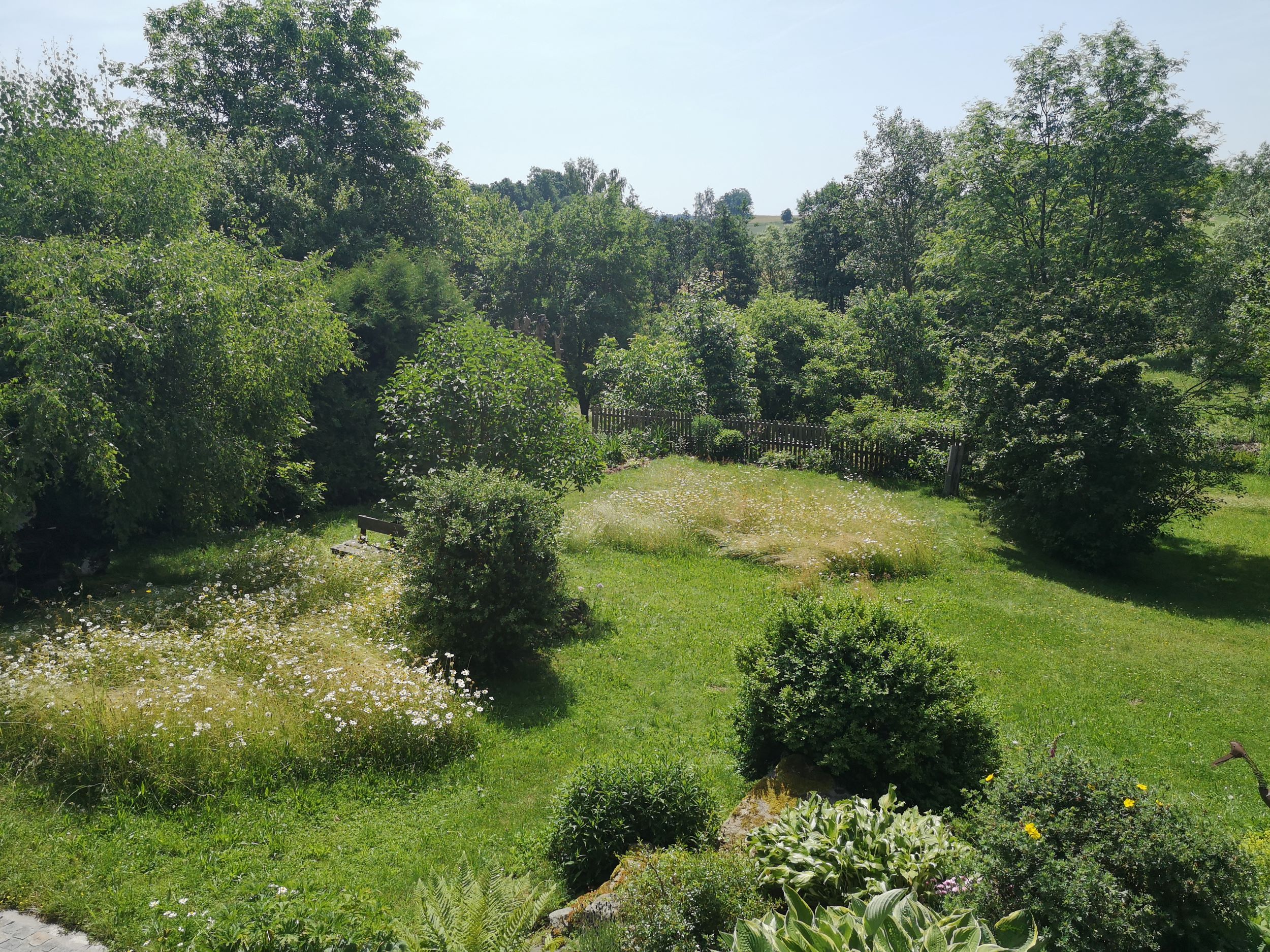 Ein grüner Garten mit Bäumen, Sträuchern und Blumenwiese.