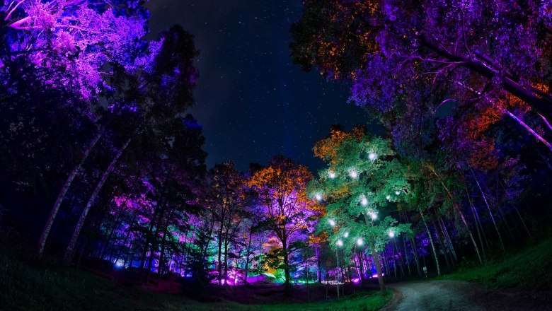 BLOCKHEIDE LEUCHTET, © Andreas Biedermann