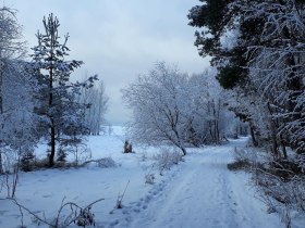 Wackelsteinweg, &copy; Stadtgemeinde Schrems
