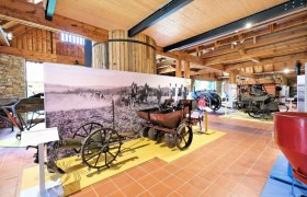 maderhalle-kartoffellegemaschine-erdaepfelroder, © Museum Horn