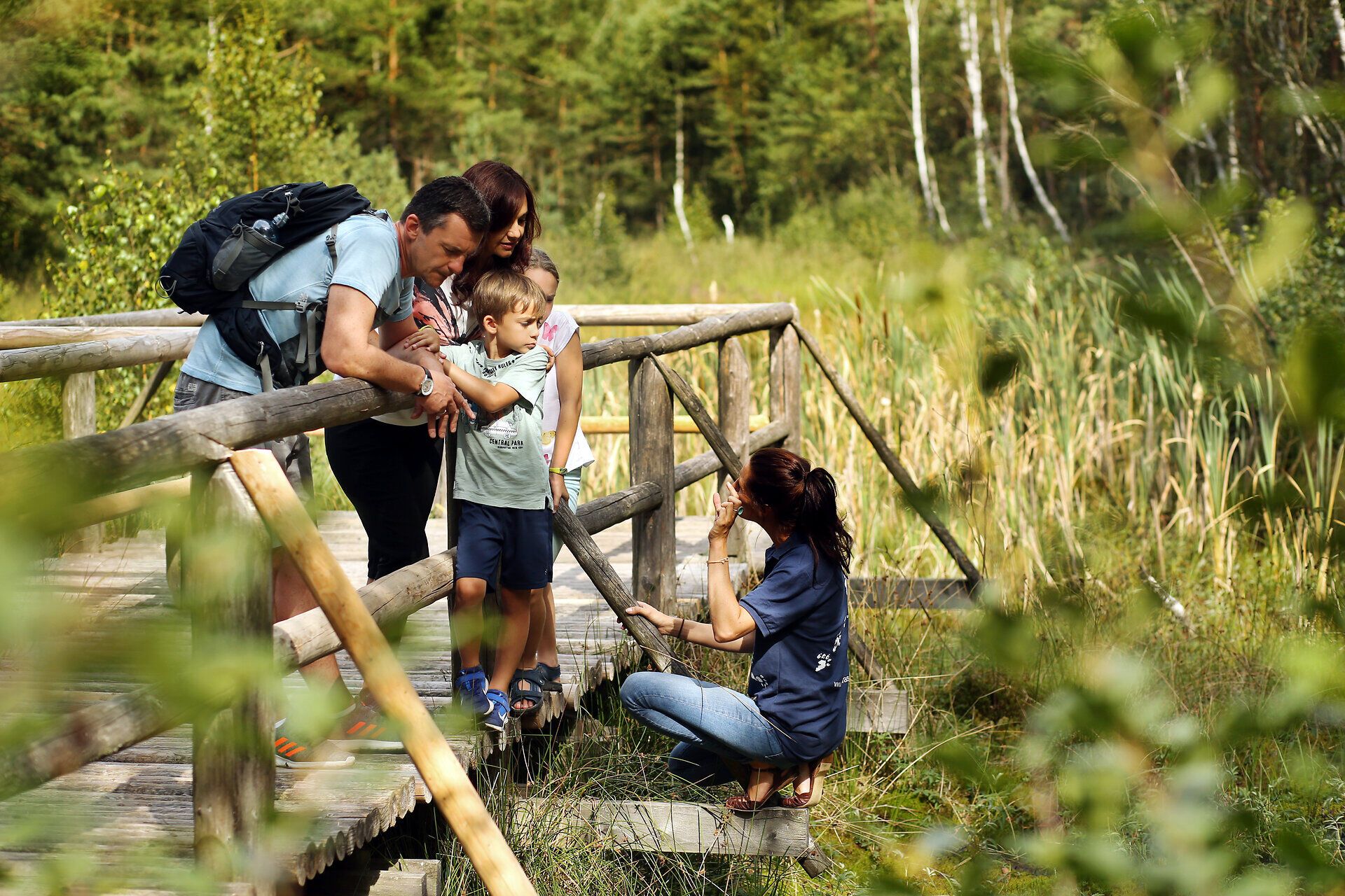 Eine Familie genießt die frische Luft und die Schönheit der Natur auf einem Holzsteg, umgeben von üppigem Grün und sanften Hügeln. Die Kinder lauschen gespannt den Erklärungen einer Naturführerin, während die Sonne durch die Bäume strahlt und eine warme, einladende Atmosphäre schafft.