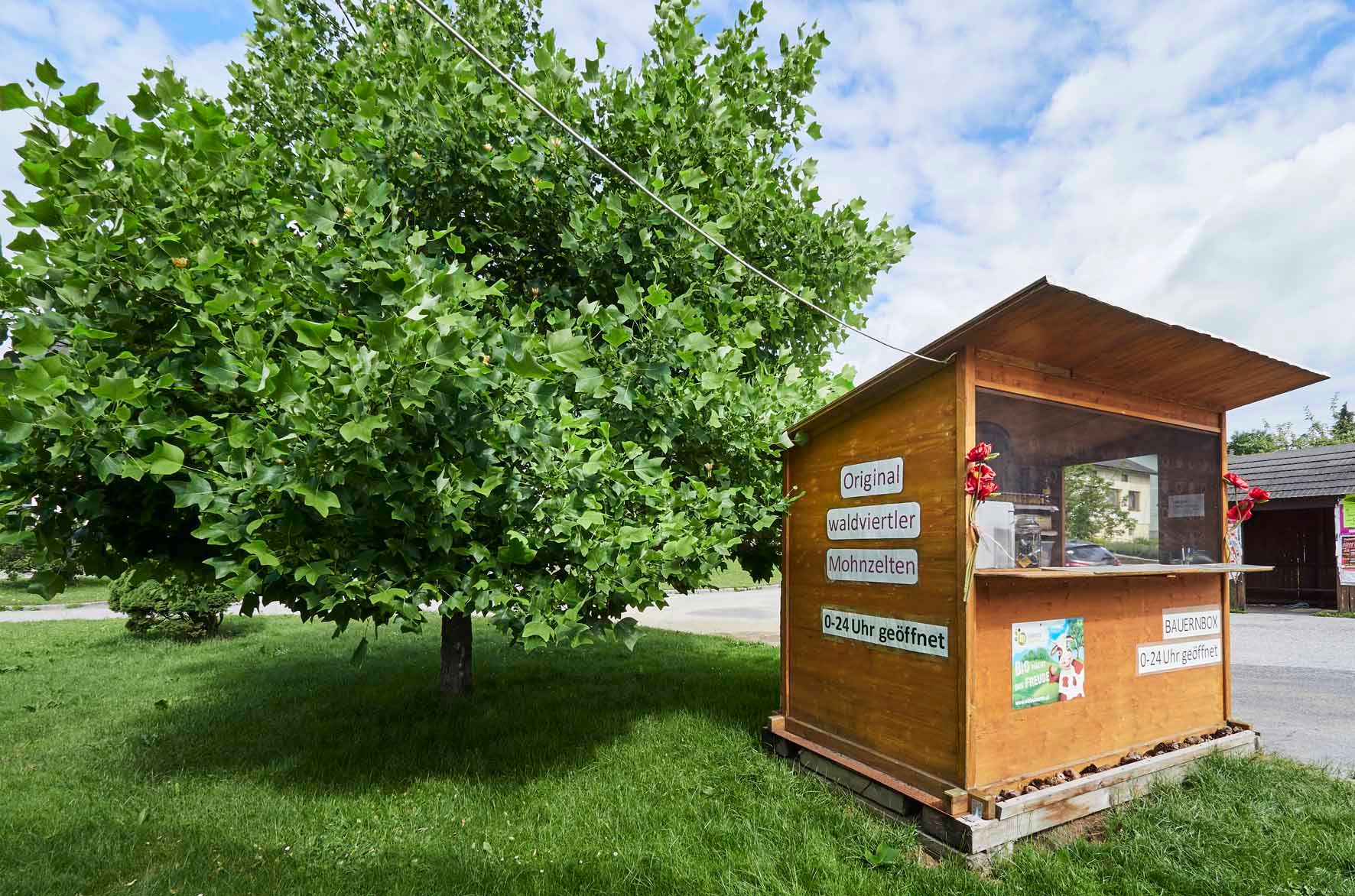 Bauernbox