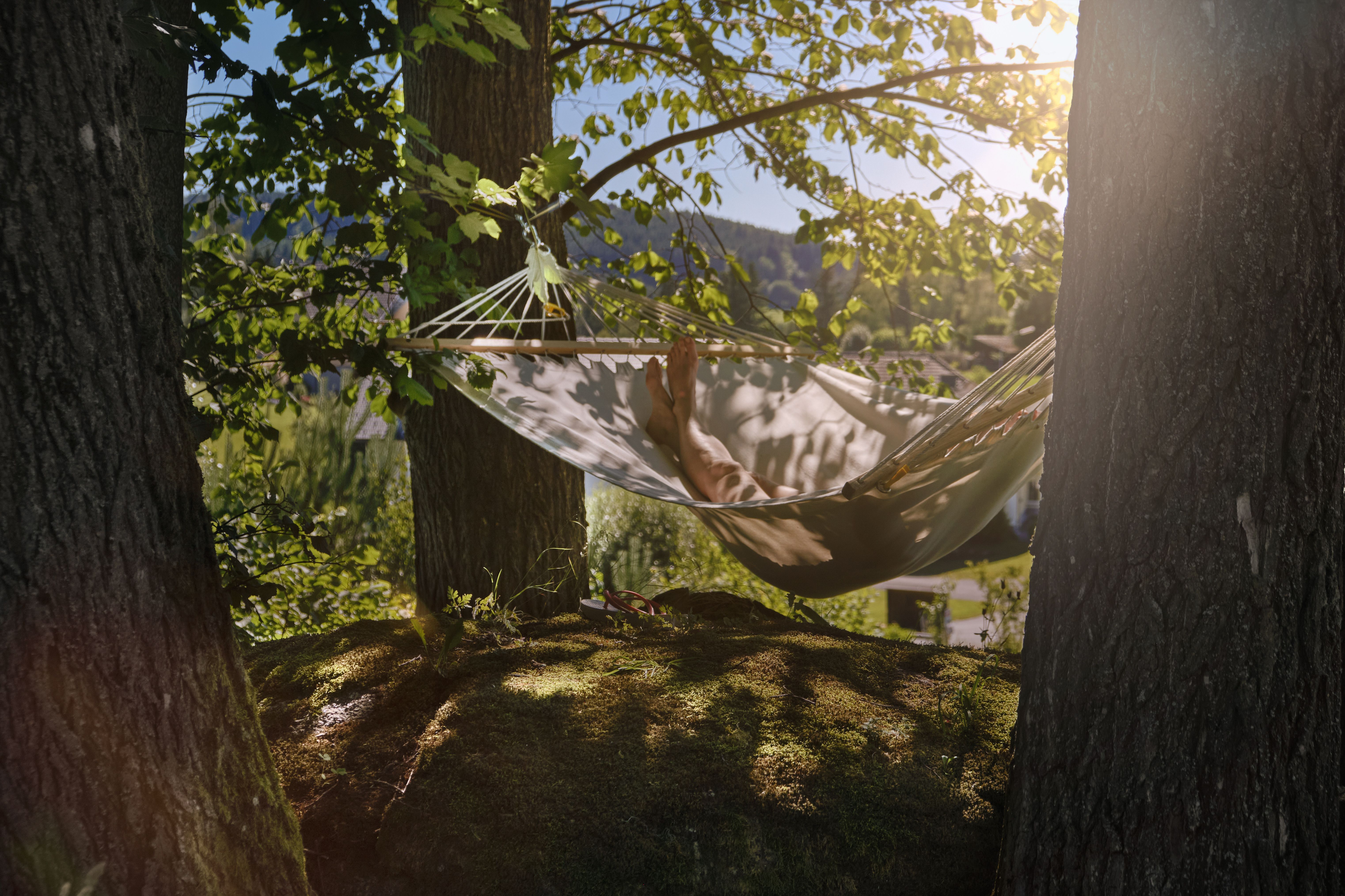 Person entspannt in einer Hängematte zwischen zwei Bäumen im Wald.