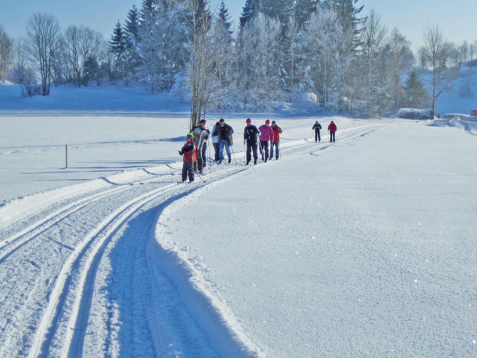 Gruppe von Langläufern auf einer verschneiten Loipe in einer Winterlandschaft.