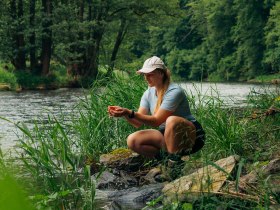 Eine Frau kniet am Ufer der Thaya im Nationalpark Thayatal, umgeben von dichter Vegetation und reichem Grün.