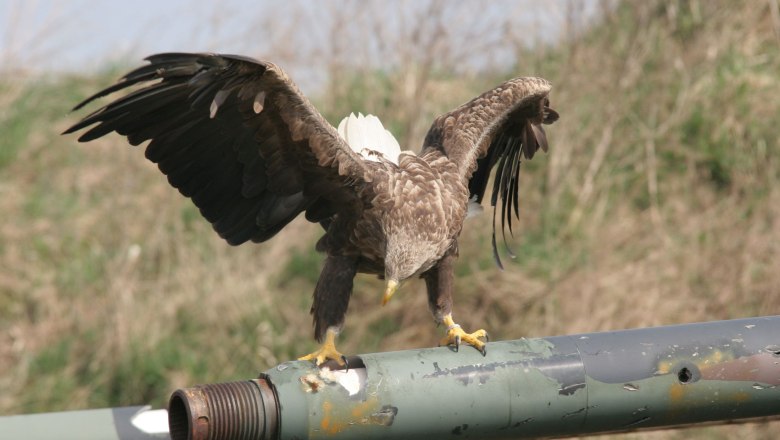 TÜPL, © Bundesheer/TÜPl A