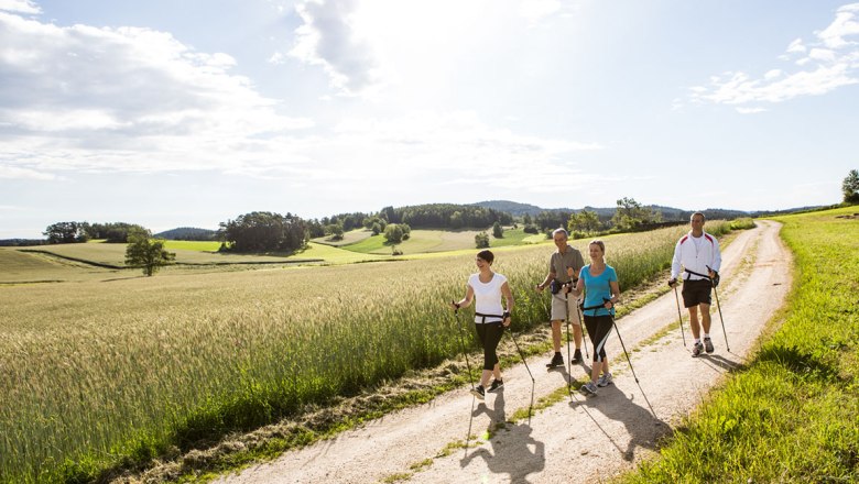 Vier Personen wandern mit Stöcken auf einem Feldweg bei sonnigem Wetter.