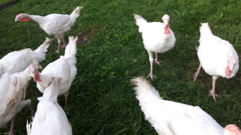 20210821_185917, © Heidi