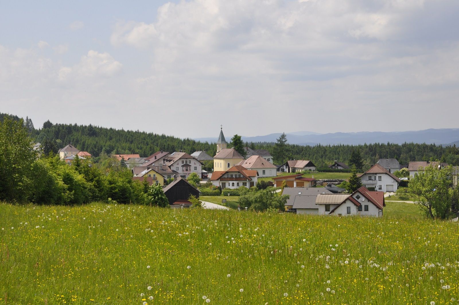 Bärnkopf Sommer