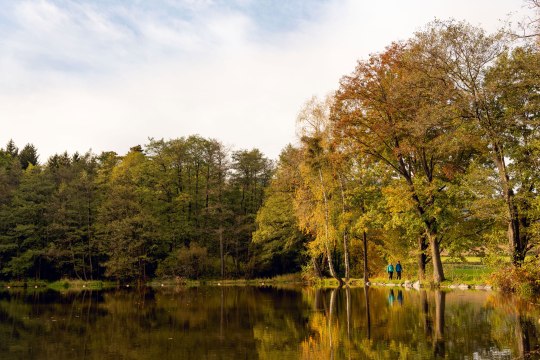 Wandern am Lebensweg, © Lebensweg, Studio Kerschbaum