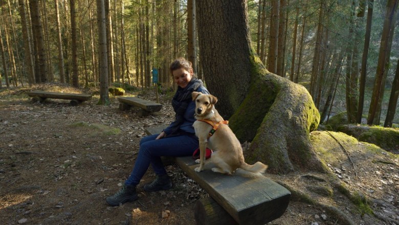 Bärentrail, Zwettltal bei Klauskapelle, © Matthias Schickhofer