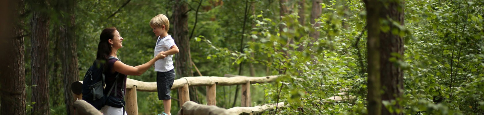 Wandern mit Kind, Naturpark Heidenreichsteiner Moor, © Waldviertel Tourismus, weinfranz