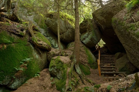 Luaga Lucka, © Waldviertel Tourismus, Matthias Schickhofer