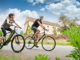 Wetzles, &copy; Delight Mediadesign