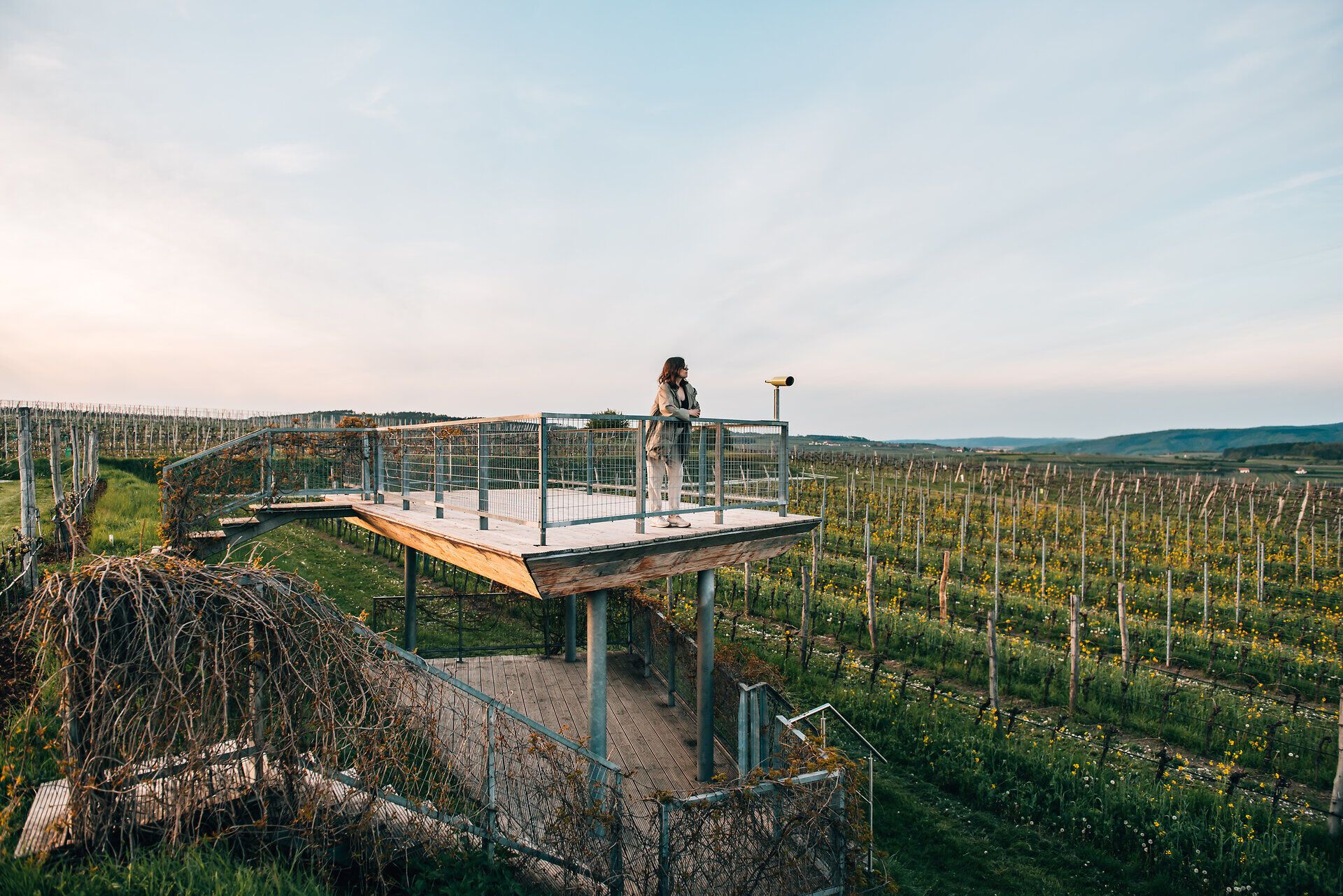 Inmitten der sanften Hügel erstreckt sich ein malerischer Weinweg, der von üppigen Weinreben gesäumt ist. Die Skulptur 'ohne Titel 2005' von Heimo Zobernig fügt sich harmonisch in die Landschaft ein und lädt dazu ein, die Schönheit der Natur zu genießen. Hier, wo die Luft von frischem Wein und blühenden Pflanzen erfüllt ist, wird jeder Schritt zu einem unvergesslichen Erlebnis.