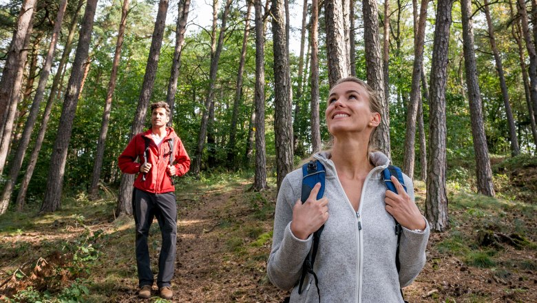 Zwei Personen wandern durch einen Wald mit hohen Bäumen.