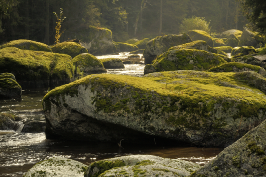 Kamptal zwischen Zwettl und Roiten, © Matthias Schickhofer