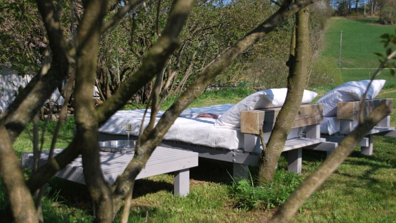 Wiesenbett II, &copy; Ren&eacute; Prinz