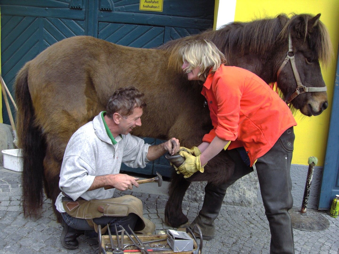 Ein Hufschmied und eine Frau arbeiten an den Hufen eines Pferdes vor einer blauen Tür.
