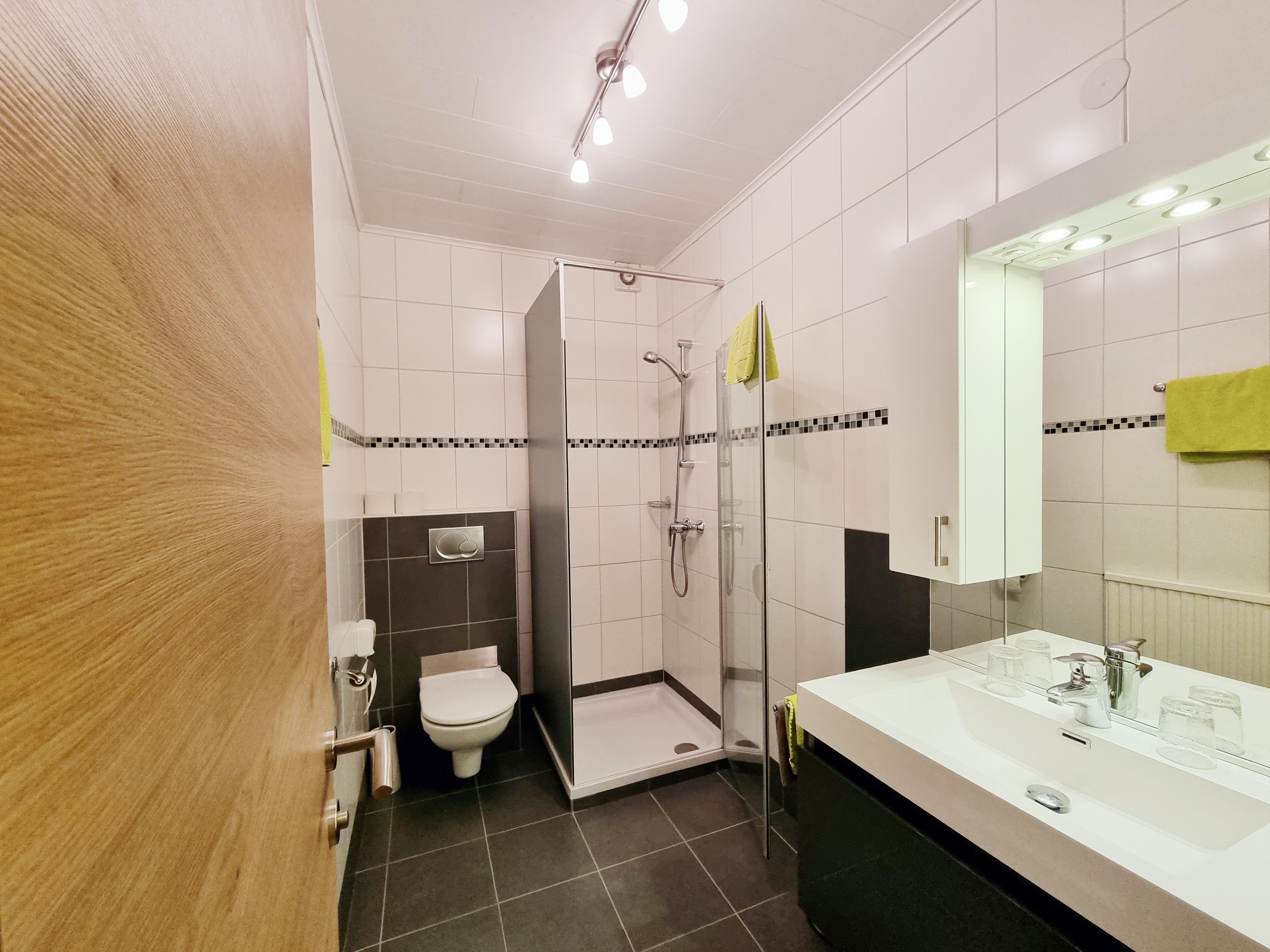 Modernes Badezimmer mit Dusche, Waschbecken und Toilette.