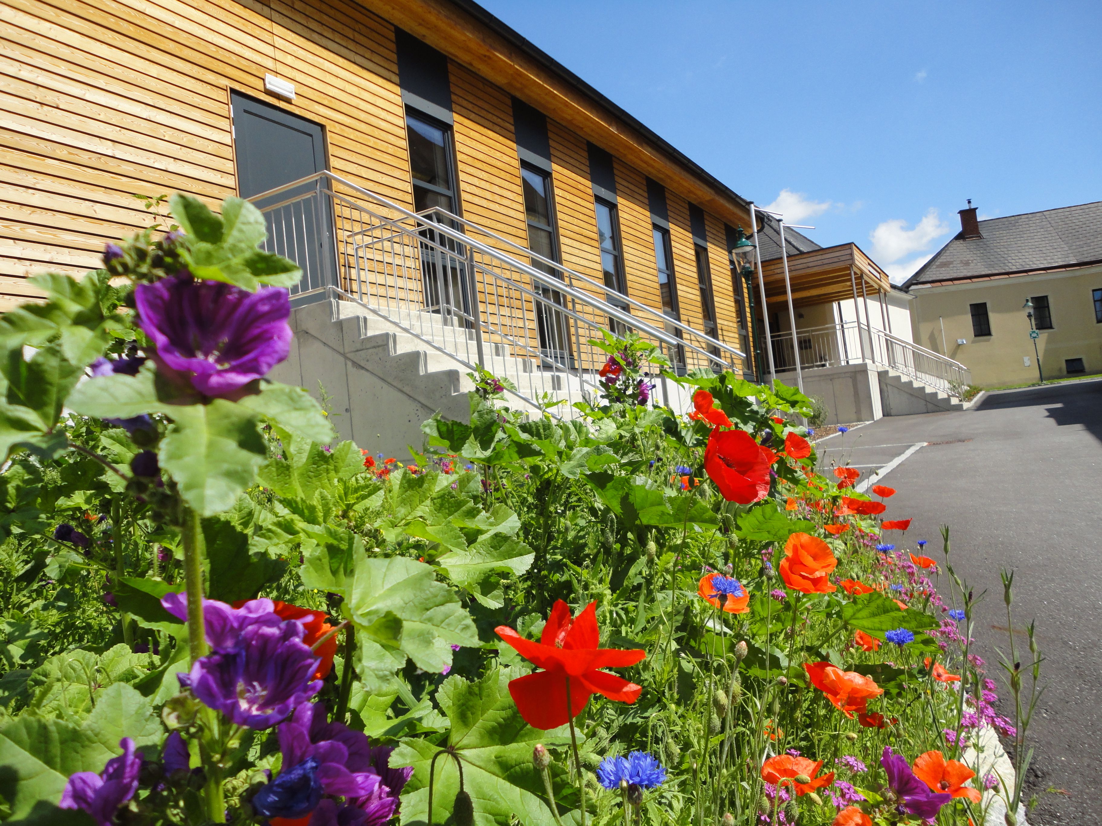 Ein modernes Gebäude mit Holzverkleidung und Blumenbeet im Vordergrund.