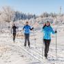 Three people cross-country skiing in the snow with snow-covered trees in the background.