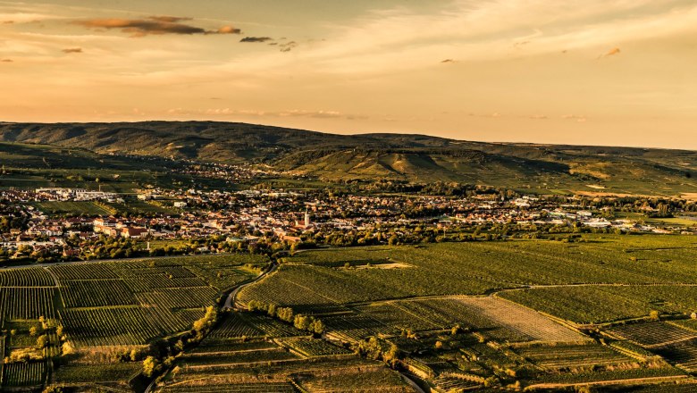 Langenlois, © Weinstraße Kamptal, POV