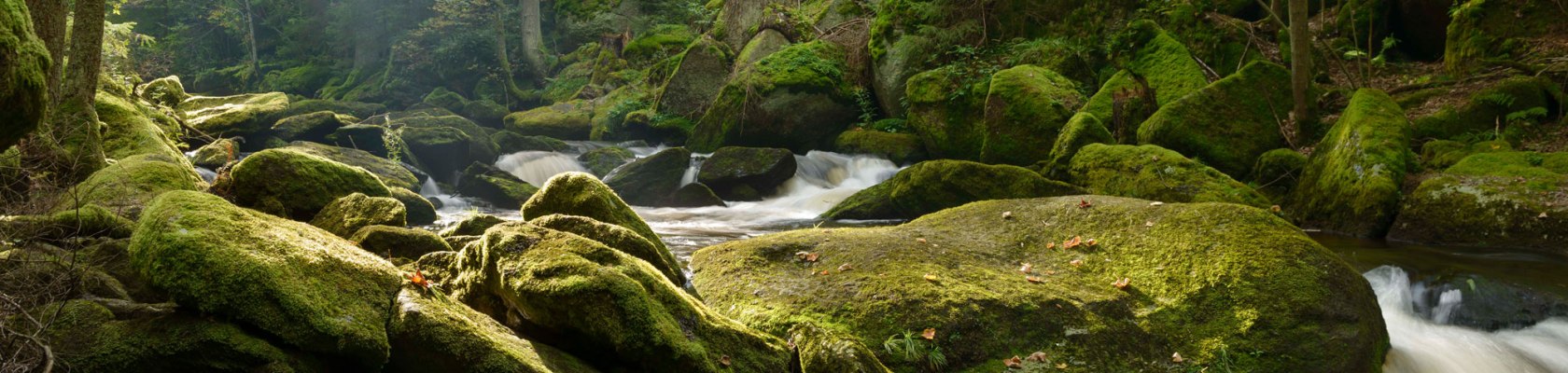 Naturschauspiel am Höllfall, © Waldviertel Tourismus, Matthias Schickhofer