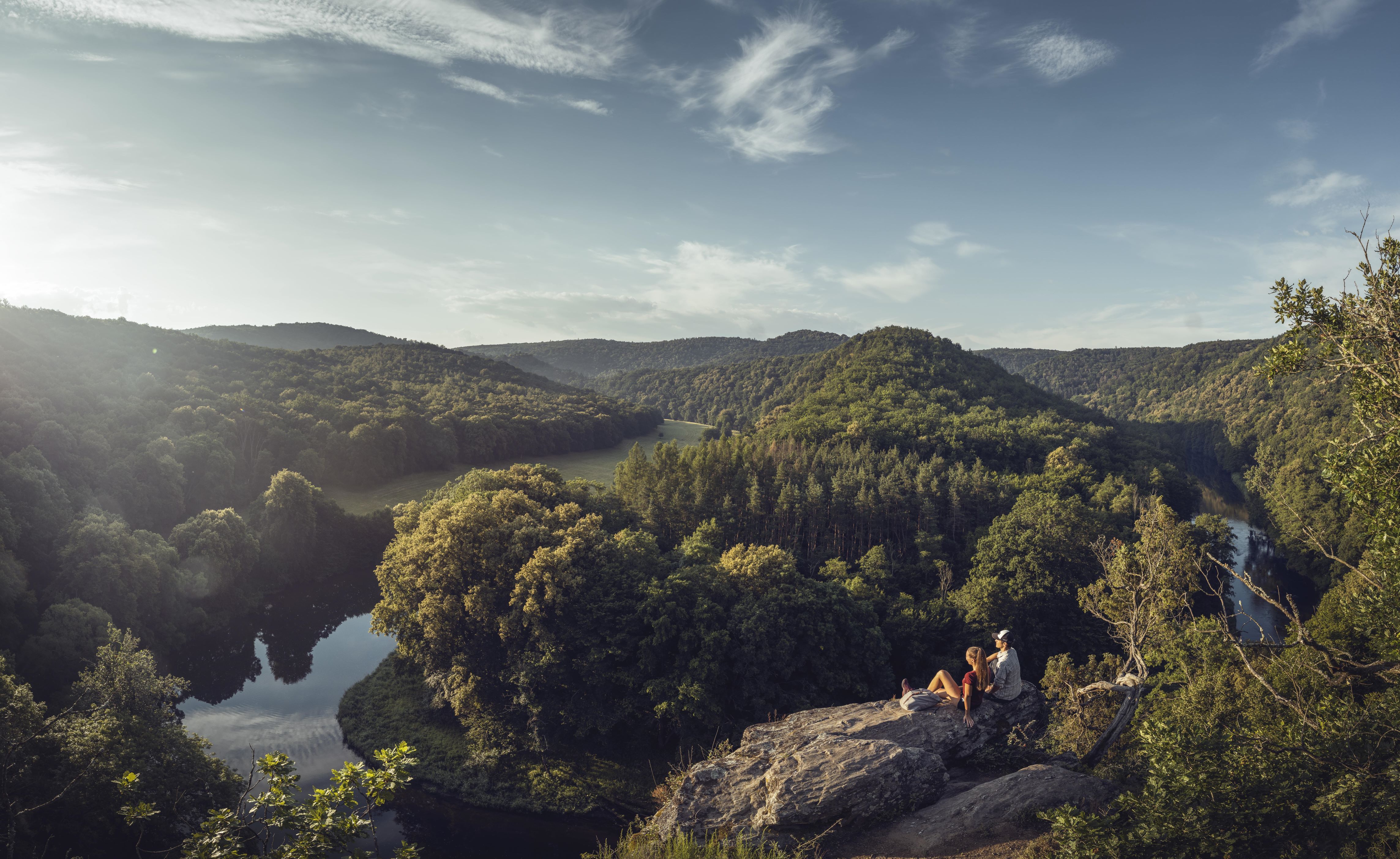 Naturlandschaft mit Thayafluss und Baumlandschaften bei schönem Wetter. 