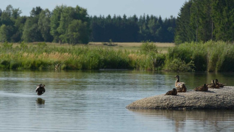 Bruneiteich bei Altmanns, © Waldviertel Tourismus, Matthias Schickhofer