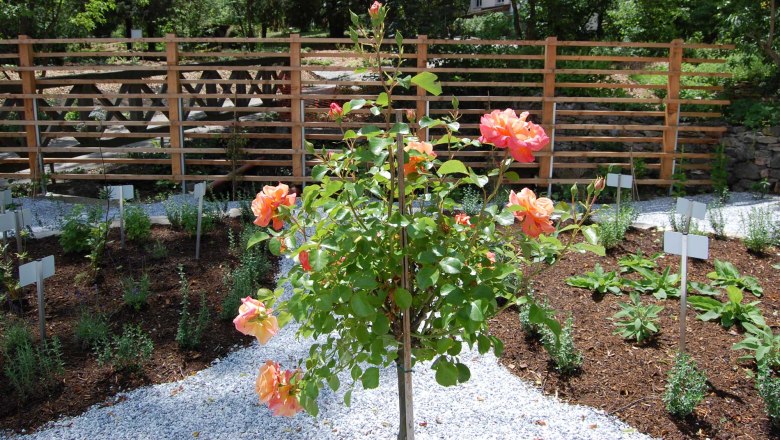 Schiltern Castle therapy garden, shield garden with view of trellises, © PSZ