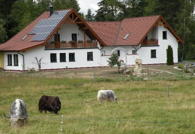 Yak und Alpakahof, © Pollak Ein modernes Bauernhaus mit Solarpanelen auf dem Dach, umgeben von einer Wiese mit grasenden Yaks.