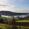 Landschaft im südlichen Waldviertel mit Hügeln, Bäumen und Nebel.