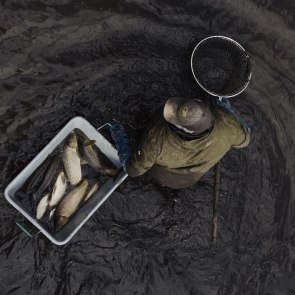 Abfischen, © Niederösterreich Werbung/Mara Hohla