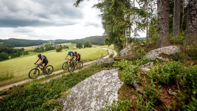 Granittrail, © Waldviertel Tourismus, Erwin Haiden