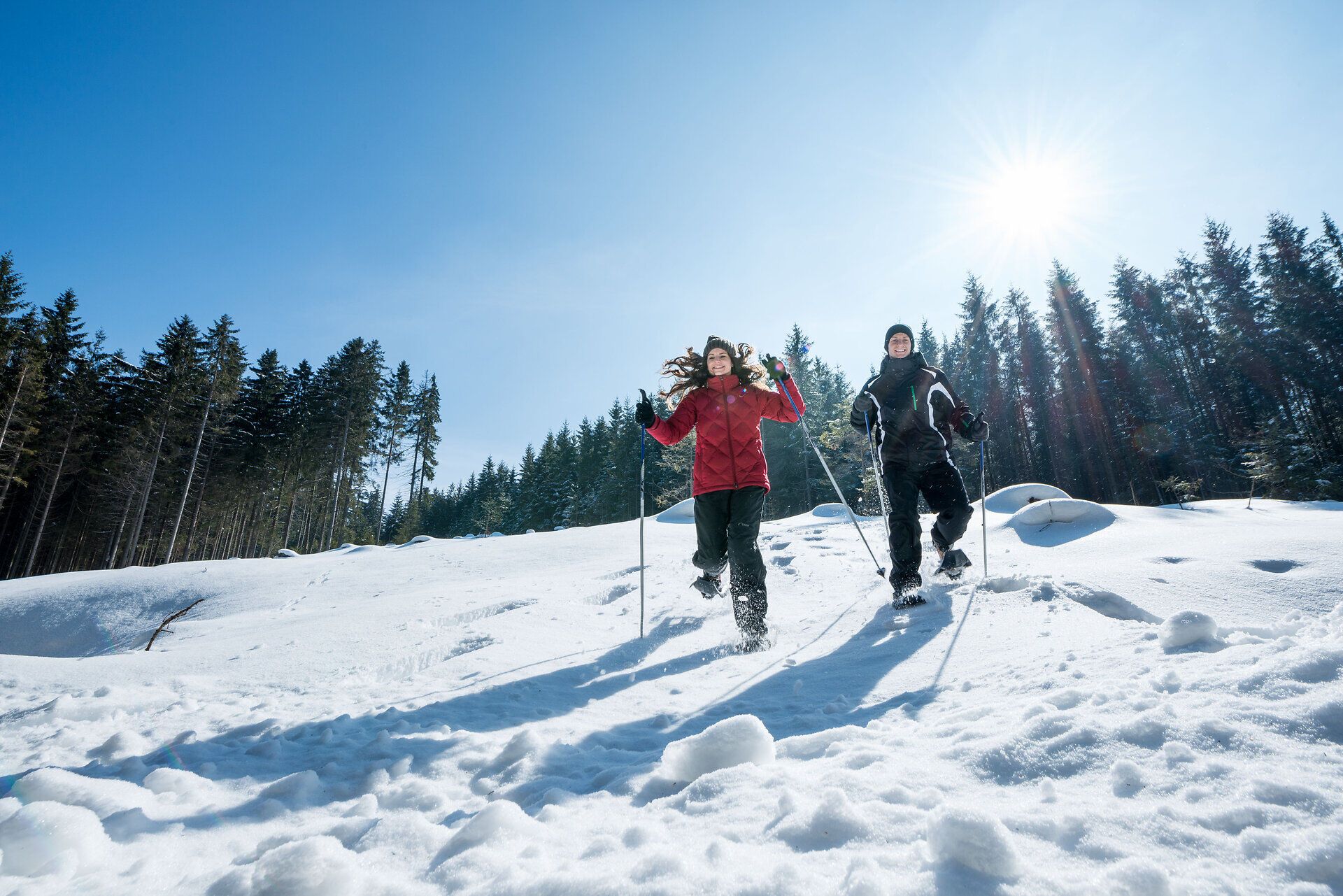 Zwei Personen beim Schneeschuhwandern im verschneiten Wald unter blauem Himmel.
