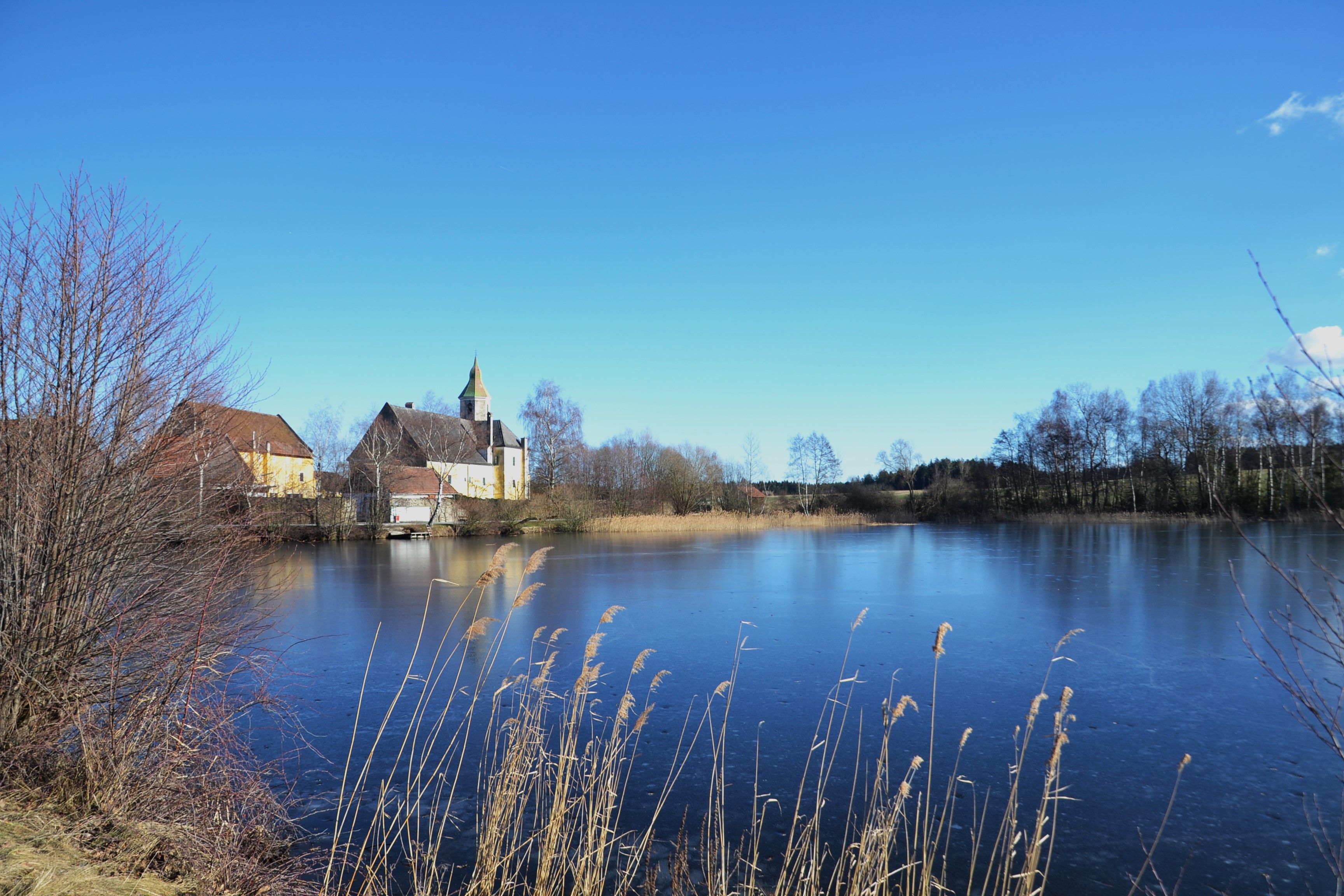 Teich mit Schilf im Vordergrund und Häuser am Ufer dahinter