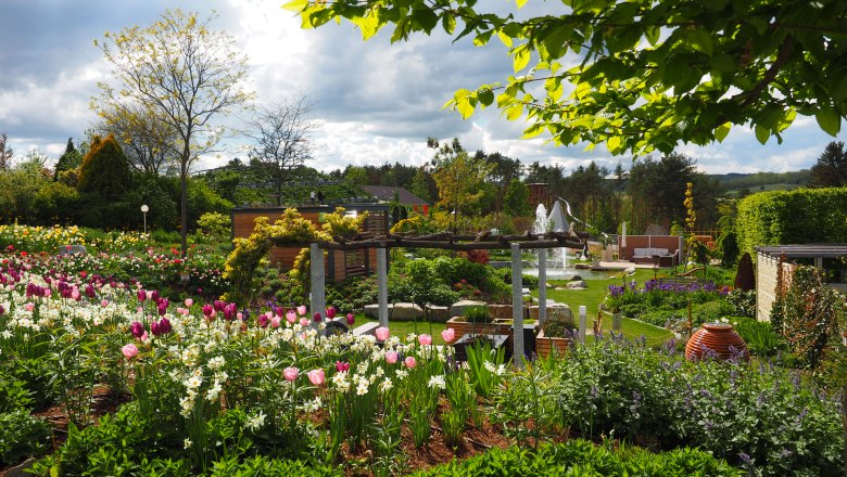 Ein blühender Garten mit Tulpen und Narzissen, umgeben von Bäumen und Sträuchern, unter einem bewölkten Himmel.