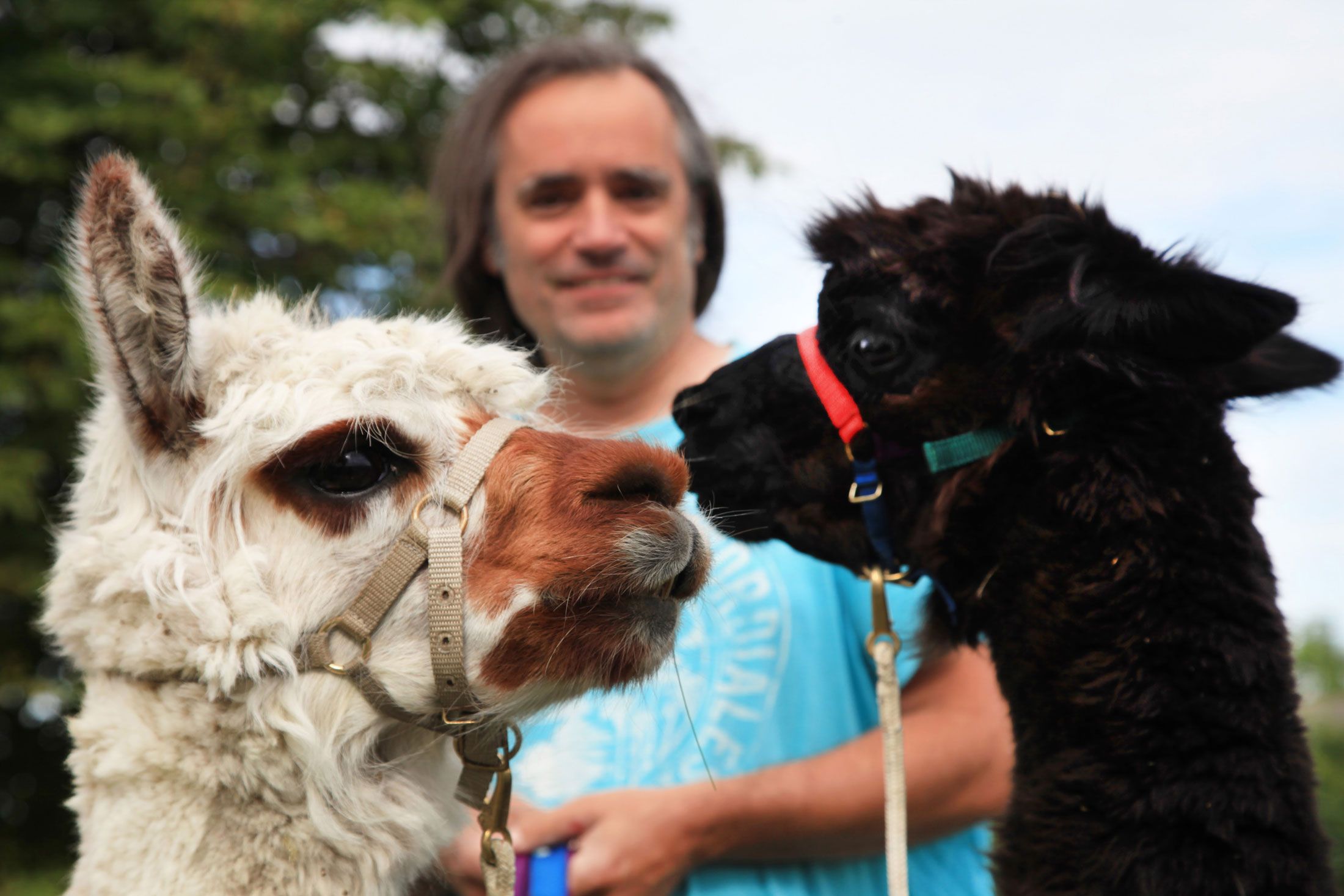 Michael Berner mit Fabian und Scirocco