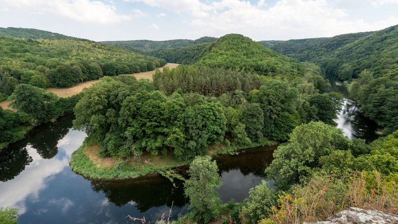Panoramablick auf den Nationalpark Thayatal mit Fluss und bewaldeten Hügeln.