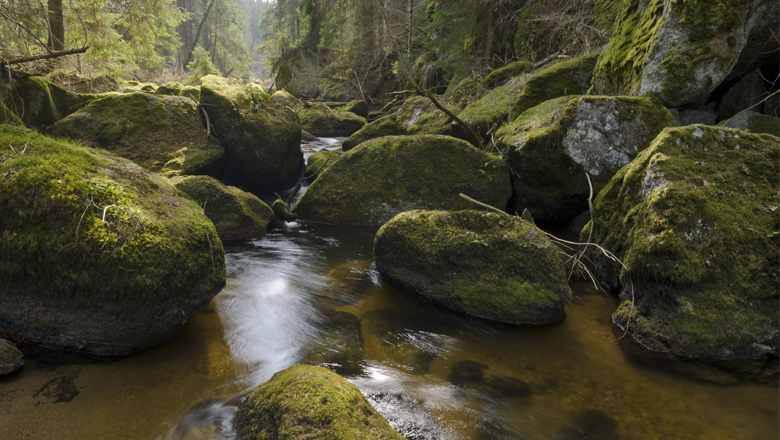 Große Schütt, © Matthias Schickhofer