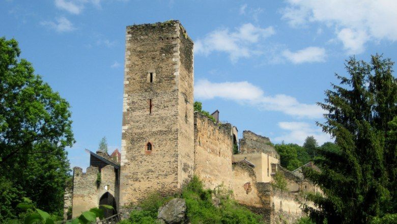 Ruine der Burg Kaja inmitten von Bäumen und unter blauem Himmel.